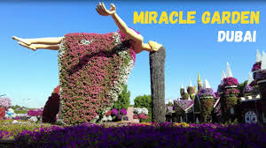 4k dubai miracle garden 2023 the
