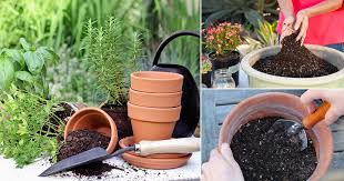 9 Ways To Rejuvenate Old Potting Soil