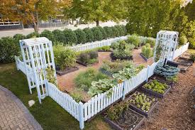 White Picket Fence Garden
