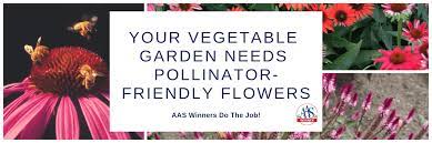 Your Vegetable Garden Needs Flowers