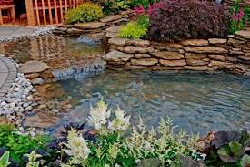 How To Create A Natural Swimming Pond