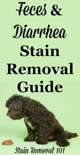 stain removal and diarrhea stain