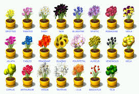 Any One Have A Picture Guide To The Plants Last Day Of