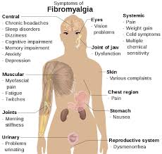 t for fibromyalgia chronic fatigue