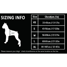 Truelove Dog Harness Tlh5651 No Pull Reflective Stitching Ensure Night Visibility Outdoor Adventure Big Dog Harness Perfect Match Puppy Vest