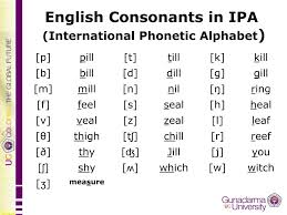 Ppt English Consonants In Ipa International Phonetic