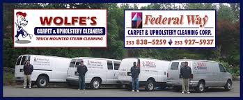 wolfe s carpet upholstery cleaning