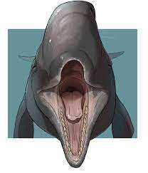 Whale mawshot furaffinity / whale mawshot furaffin. 3696 Suggestive Artist Imperatorcaesar Cetacean Mammal Sperm Whale Whale Feral Lifelike Feral Bust Mawshot Non Sapient Open Mouth Realistic Solo Furbooru