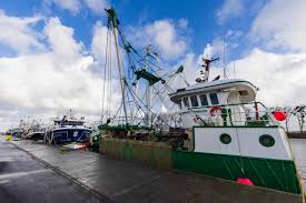 uk issues more eu fishing licenses to