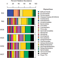 Prokaryotic Community Composition Phylum Level Taxonomic