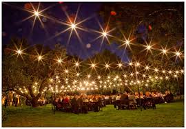 How To Decorate A Garden For A Party With Lights