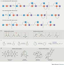 Radical cascade reactions triggered by single electron transfer | Nature  Reviews Chemistry