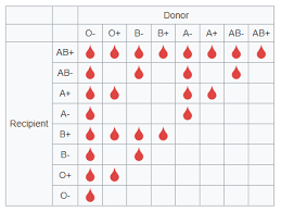 Specific Blood Donor And Recipient Chart Blood Donor And