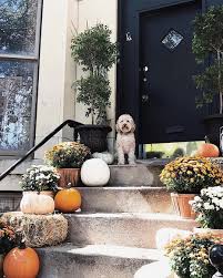fall front door decorations that are