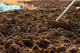 cow manure composting all you need to