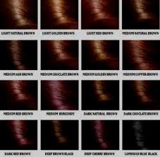 Dark Hair Colors Brown Hair Color Chart In 27 Kanta