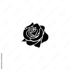 Rose Logo Flower Vector Icon