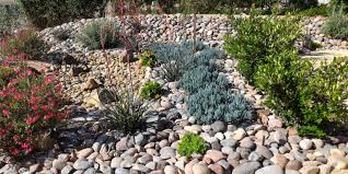 Water Wise Landscaping City Of