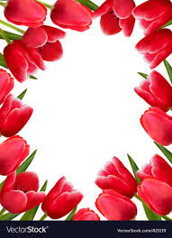 red fresh spring flowers background