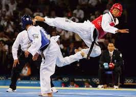 Hasil gambar untuk gambar taekwondo