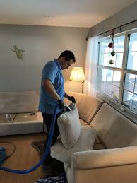 professional upholstery cleaning image