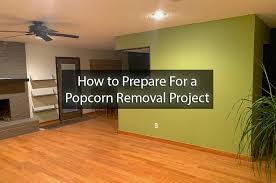 popcorn removal project