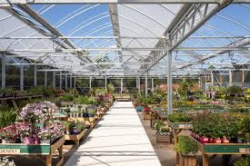 Garden Centre For Best Range Of Plants