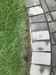 Gap Between Patio And Lawn