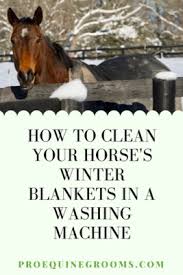 wash a horse blanket in the washer