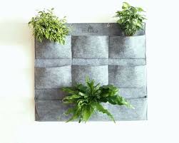 Planter Bag Living Wall Planter Wall