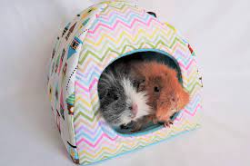 Make Your Own Guinea Pig Hidey Huts