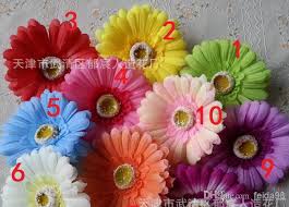  افضل 6 نباتات منزلية لتنقية الهواء Images?q=tbn:ANd9GcT57upyLk-RjTGqMRYawxG5JhspiySbx9nNudrDtC06FowGG-EG