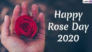 rose day images hd wallpapers for