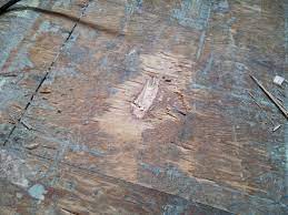 how to remove parquet flooring