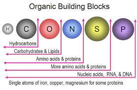 building organic compounds