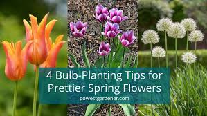 Spring Bulb Garden Design 4 Tips To