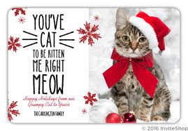Among the favorite of animal christmas cards are cat christmas cards, and i've got a few below that entail everything from cute to naughty to funny, just like cats are always like when they're around us. Funny Cat Christmas Photo Card Christmas Cards