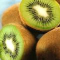 Kiwifruit logo