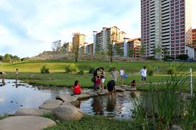 bishan ang mo kio park singapore