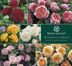 David Austin Roses Limited