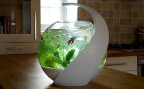 Like all other 10 gallon tanks. Avo Self Cleaning Fish Tank Ippinka