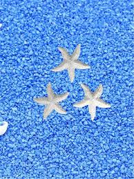 3pcs Starfish Shaped Art Decoration