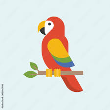 macaw parrot vector parrots bird