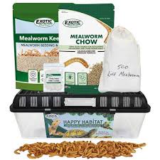 mealworm breeder kit exotic nutrition
