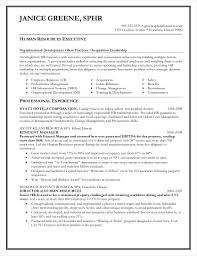 9 Hr Resume Examples Pdf Examples