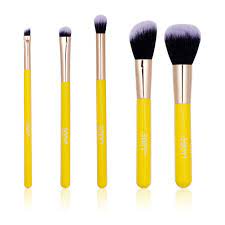 5 pcs makeup brush set professional