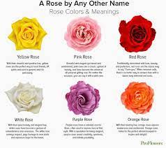 Purple and yellow flowers meaning. The Complete Rose Color Meanings Guide Proflowers Rose Color Meanings Yellow Rose Meaning Rose Meaning