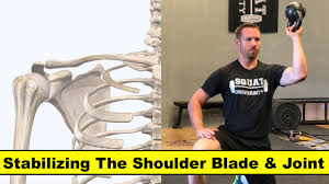 shoulder blade joint squat university