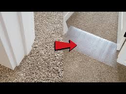 mewtogo cat carpet protector install
