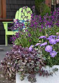 Container Garden Ideas To Beautify Your